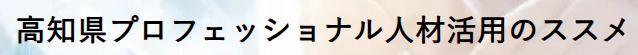 プロフェッショナル人材活用拠点