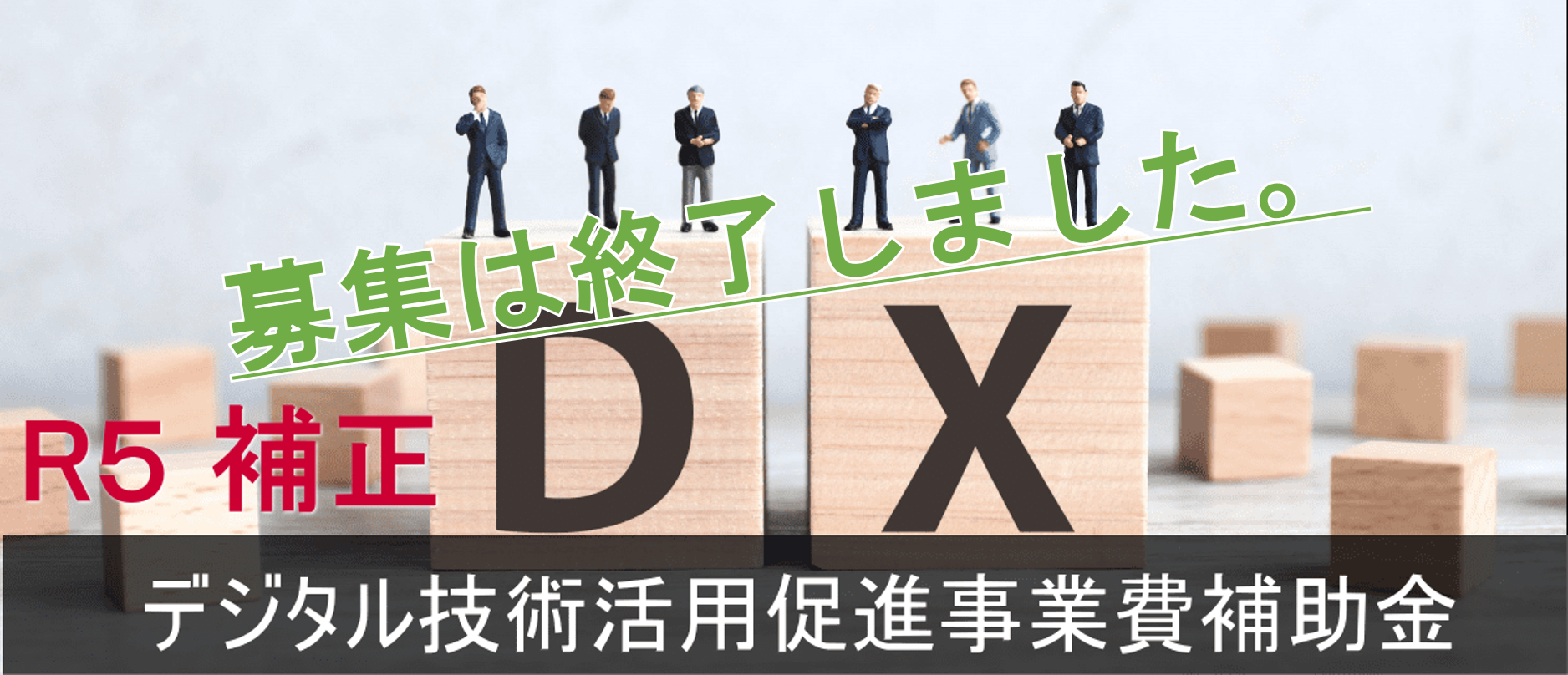 高知県デジタル化計画実行支援事業費補助金